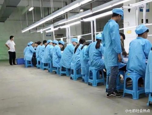 在深圳過年的別樣體驗 技術交流合作的機遇